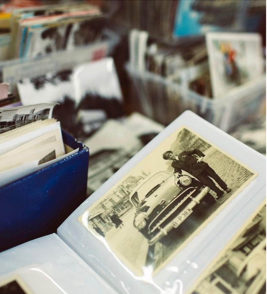 8 Favourite Subjects to Draw and Paint