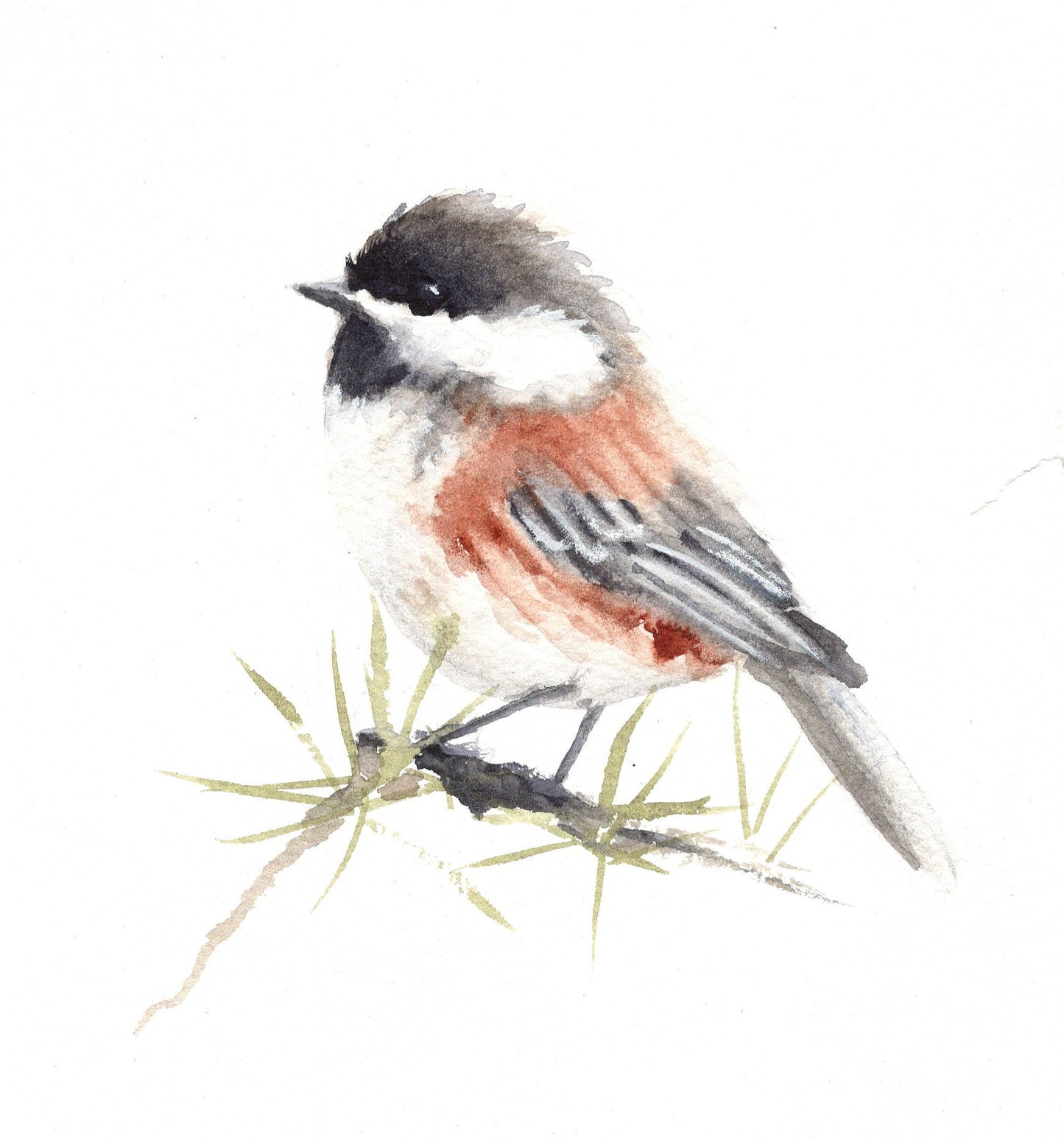 4 Card Bundle- Blank Birds or Dogs Greeting Cards & matching stickers