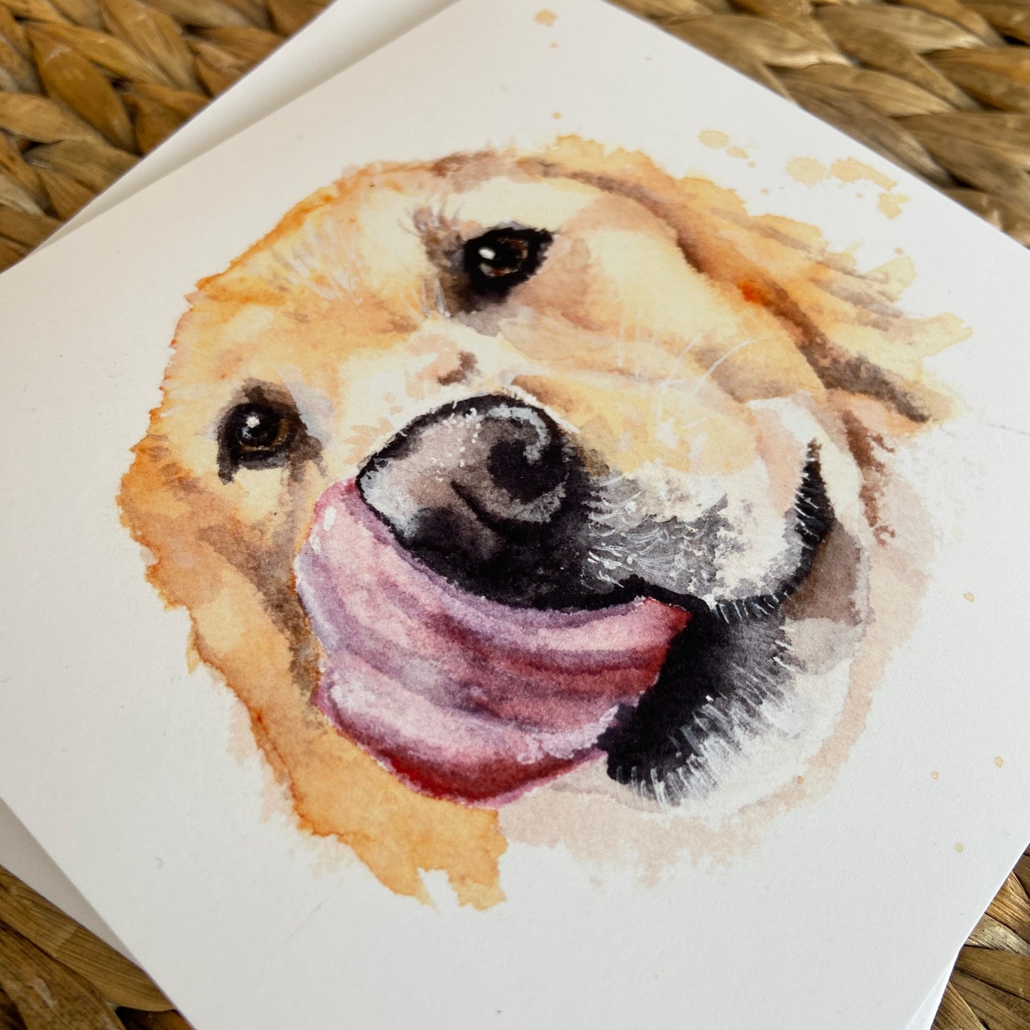 4 Card Bundle- Blank Birds or Dogs Greeting Cards & matching stickers