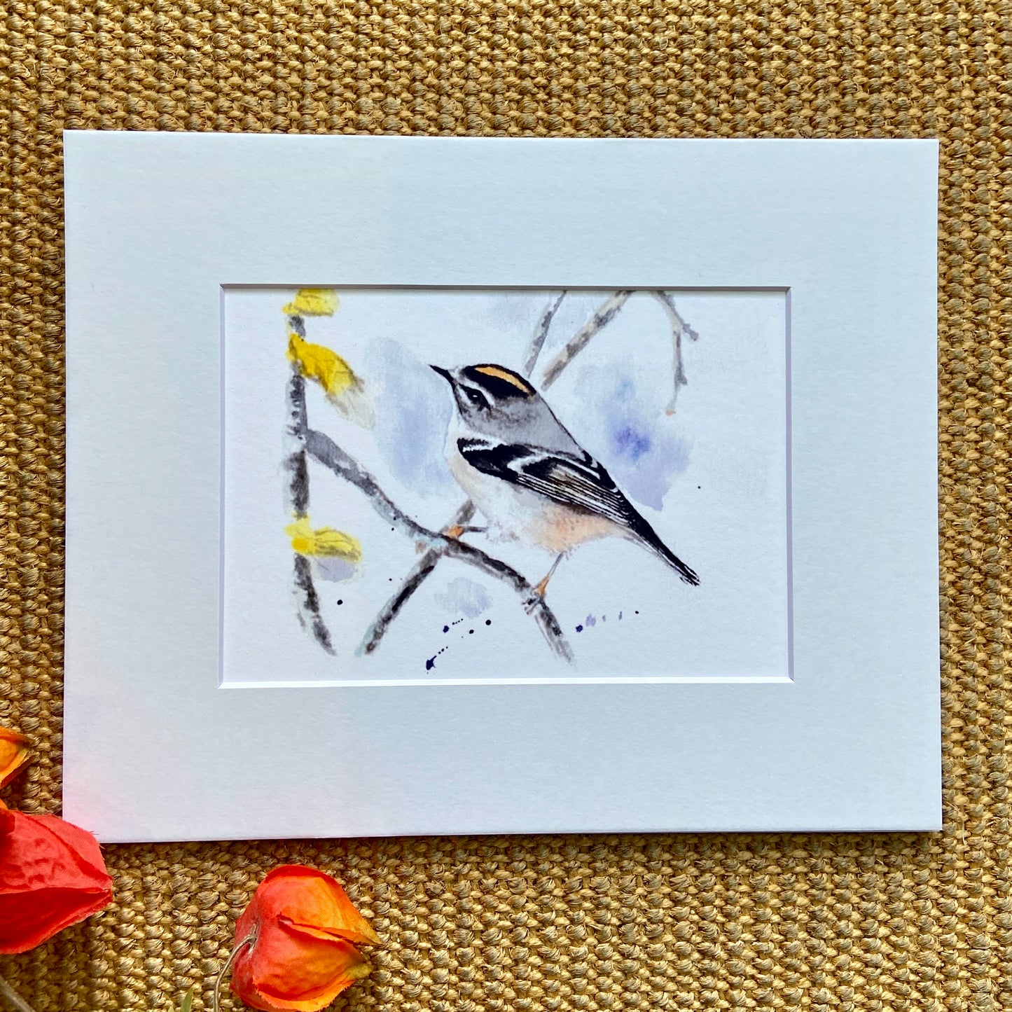 Golden-Crowned Kinglet Reproduction Print