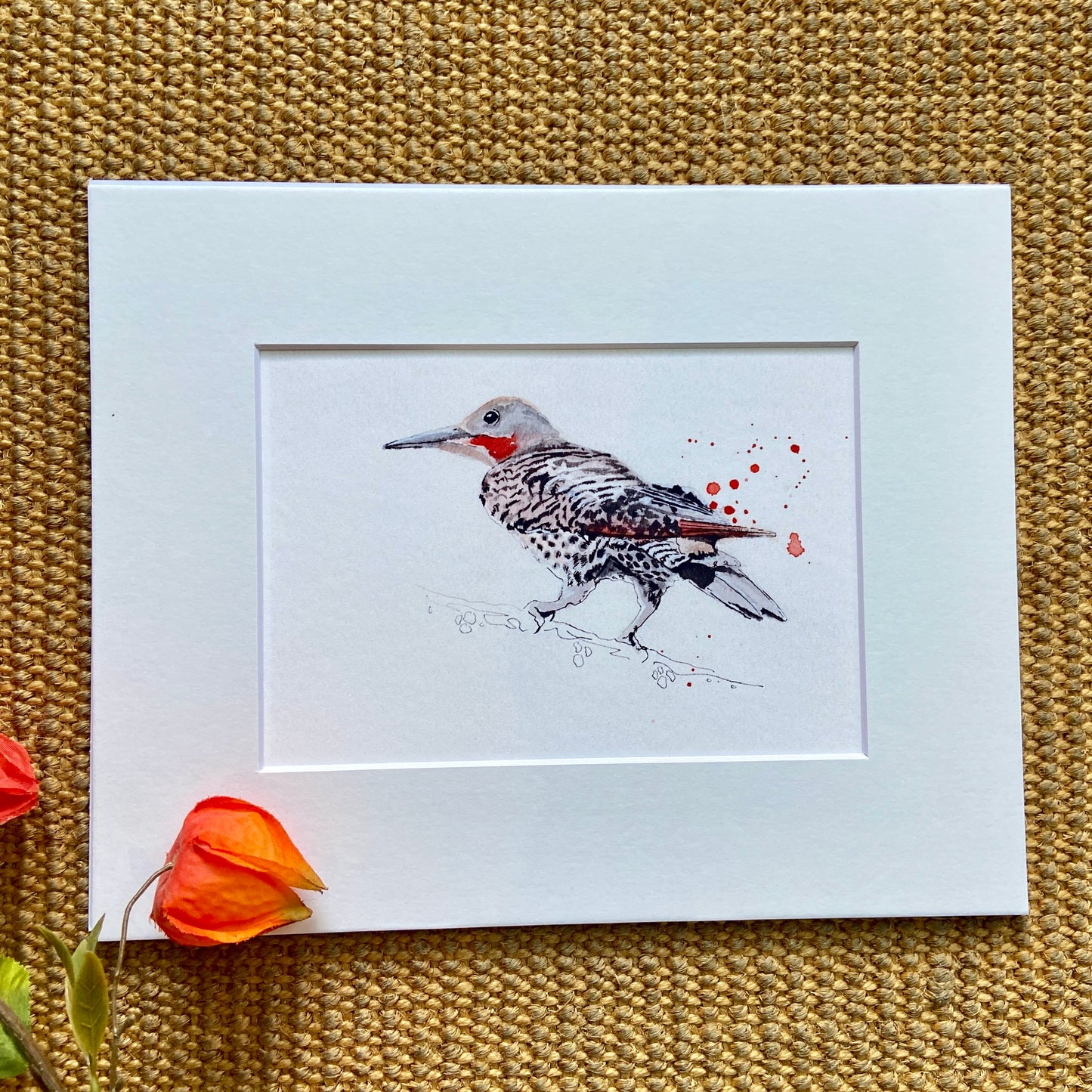 Norther Flicker Reproduction Print