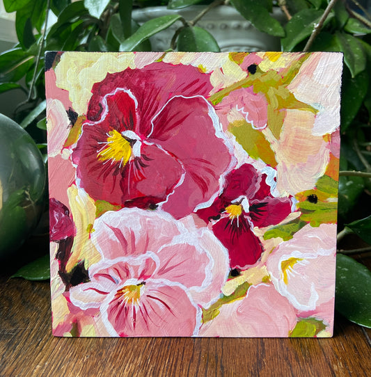 Margaritas entre rosas 8x8