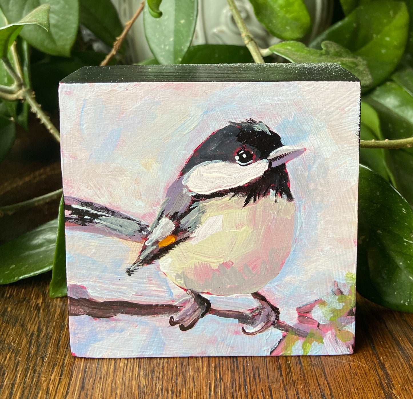 Margaritas entre rosas 8x8