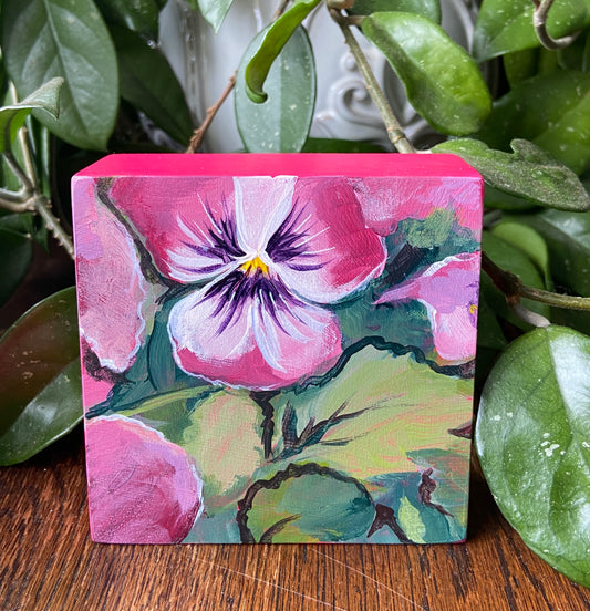 Margaritas entre rosas 8x8