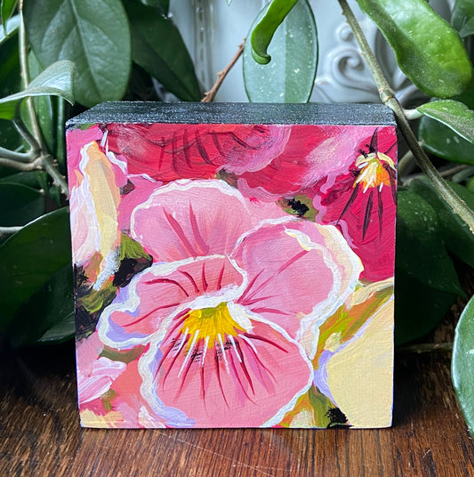 Margaritas entre rosas 8x8