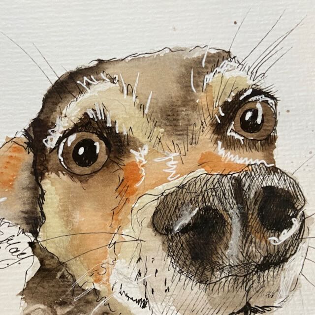 Wet Noses-Ink and Wash