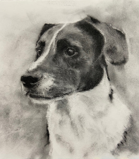 Pet Portrait Single Subject- Charcoal