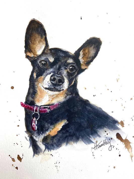 Pet Portrait Single Subject - Watercolour