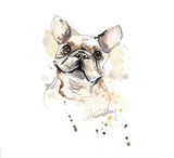 A little French bulldog with a thoughtful expression done in pen and watercolour