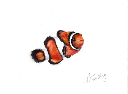 Clownfish  Reproduction Print