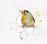 Loose watercolour painting of a yellow Wilson's Warbler bird sitting on chicken wire