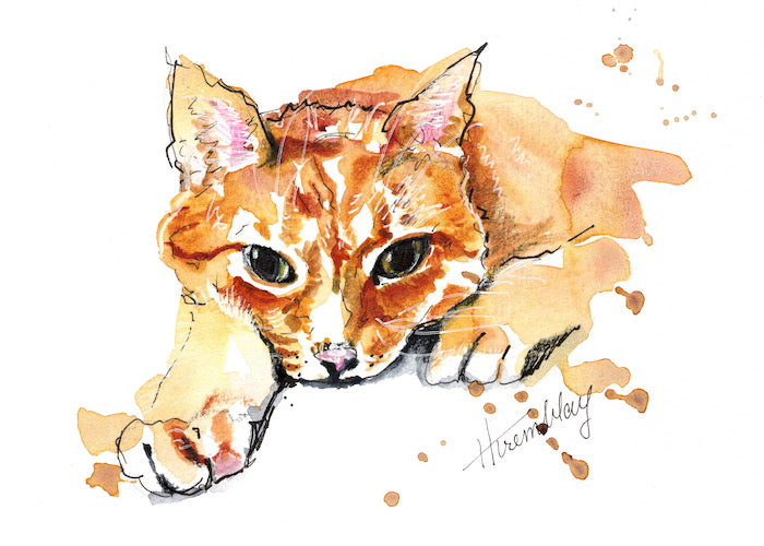 Marmalade Cat in repose with bright yellow eyes done in pen and watercolour