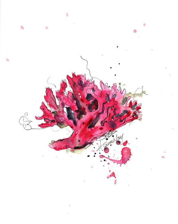 Watercolour painting of vibrant pink kelp