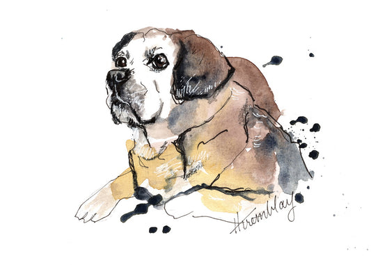 watercolour painting of a pug dog in repose