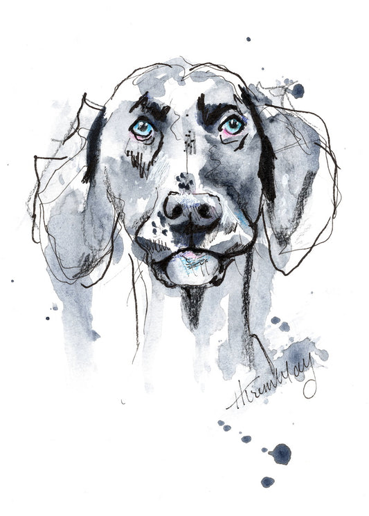 watercolour of a grey dog with a funny expression