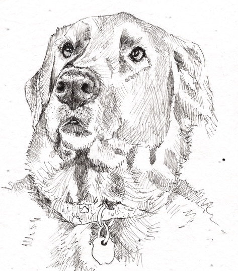 Memorial Pet Portrait on Seeded Paper